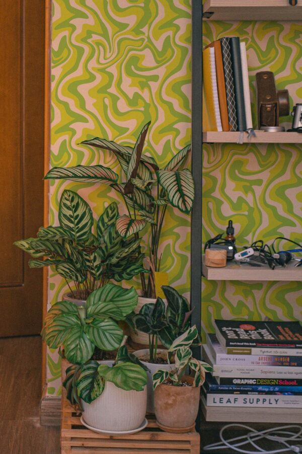 Removable wallpaper in Chartreuse funky groove design by Fancy Walls
