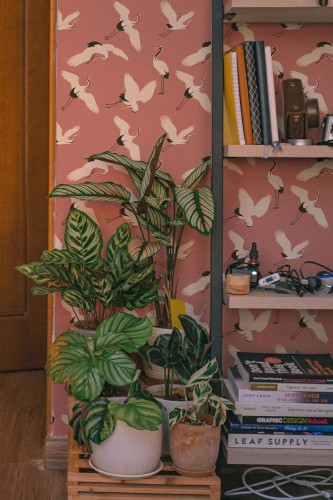 Southwestern style living room decorated with Rose crane peel and stick wallpaper