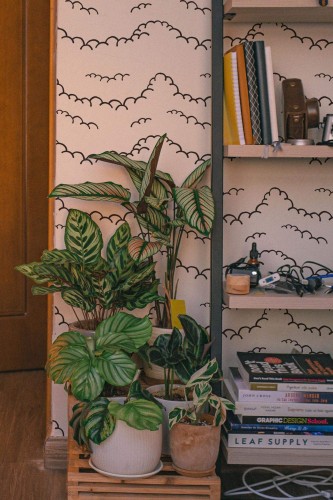 Southwestern style living room decorated with Seamless cloud peel and stick wallpaper