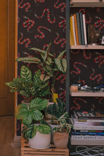Southwestern style living room decorated with Snake peel and stick wallpaper