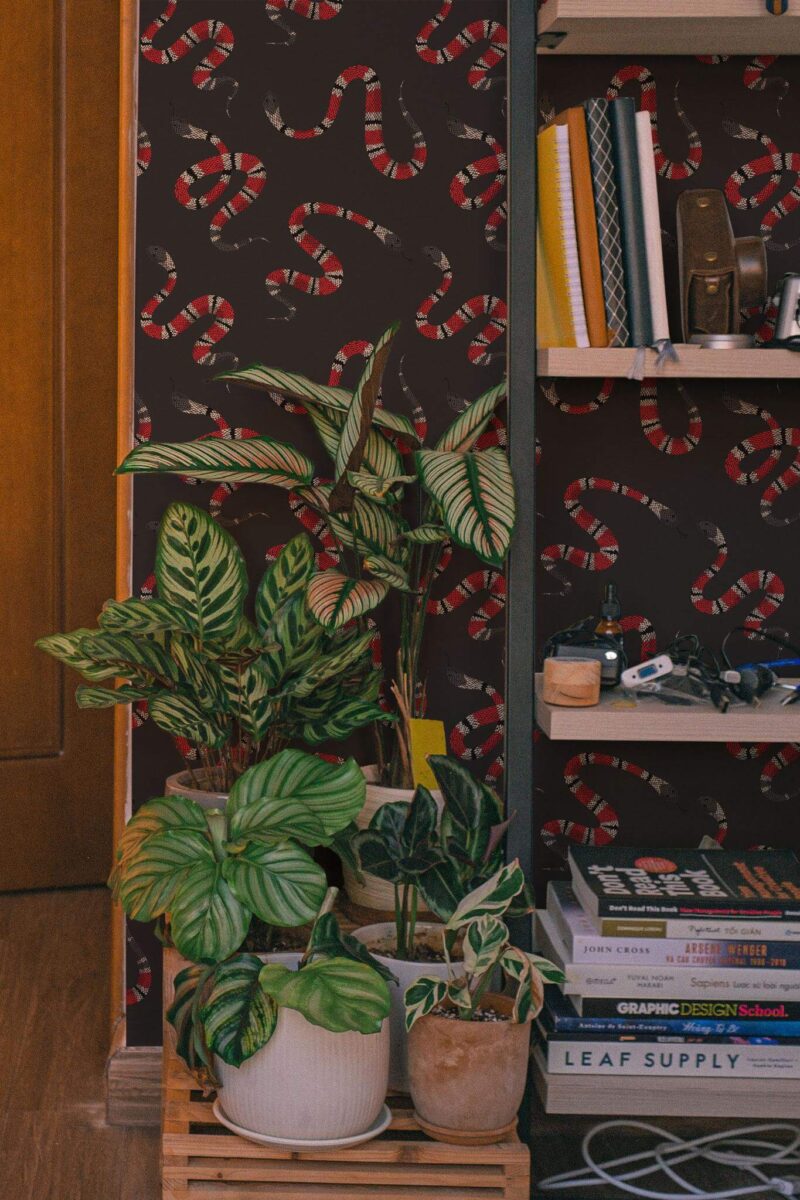 Southwestern style living room decorated with Snake peel and stick wallpaper