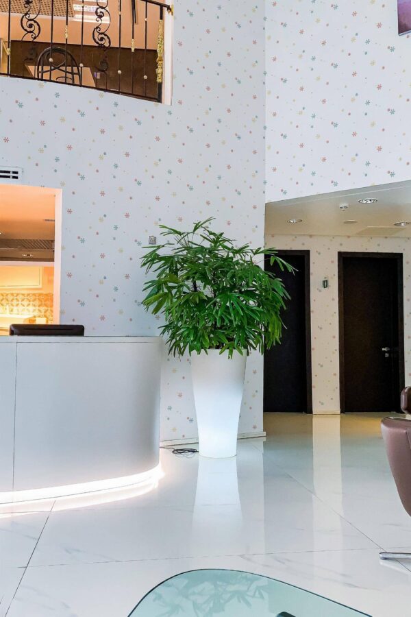 Modern style hallway in a hotel decorated with Snowflakes peel and stick wallpaper