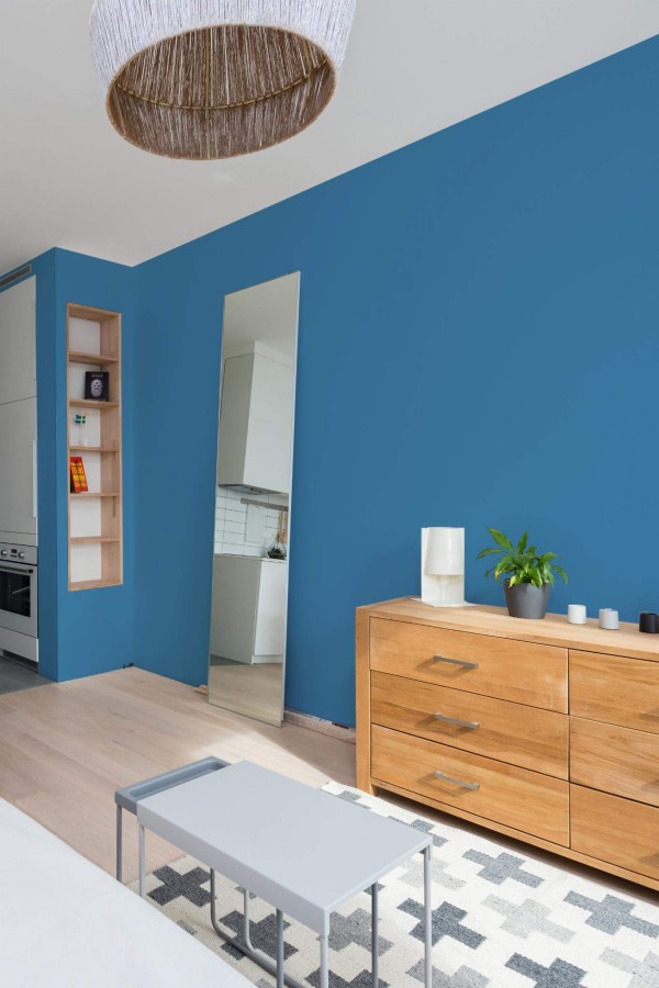Scandinavian style small apartment decorated with Solid bright blue peel and stick wallpaper