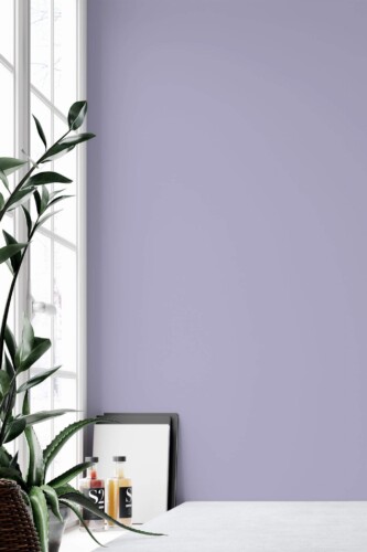 Minimal style home office decorated with Solid color lilac peel and stick wallpaper