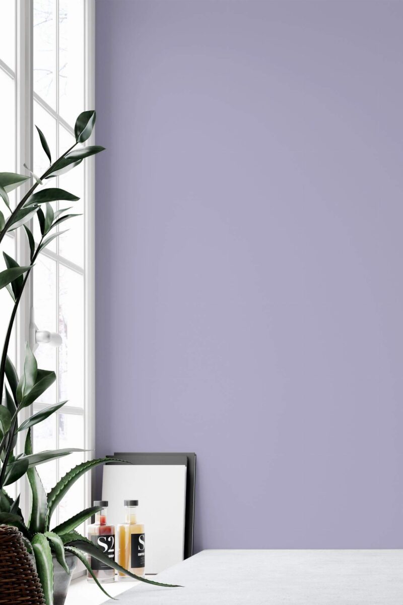 Minimal style home office decorated with Solid color lilac peel and stick wallpaper