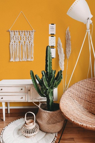 Bohemian style living room decorated with Solid orange peel and stick wallpaper