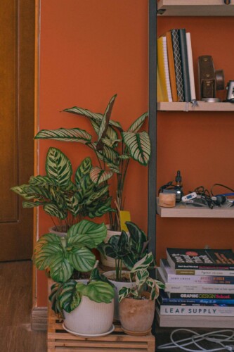 Southwestern style living room decorated with Solid terracotta peel and stick wallpaper