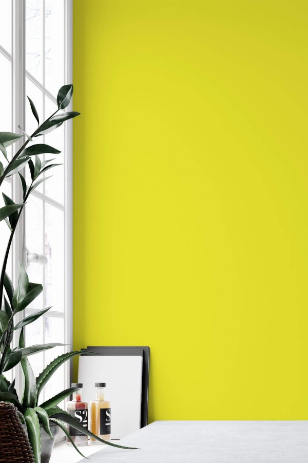 Minimal style home office decorated with Solid yellow peel and stick wallpaper