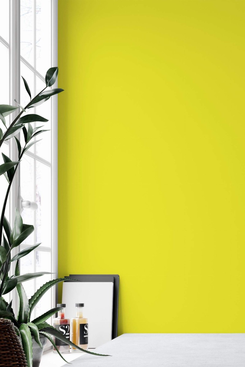 Minimal style home office decorated with Solid yellow peel and stick wallpaper