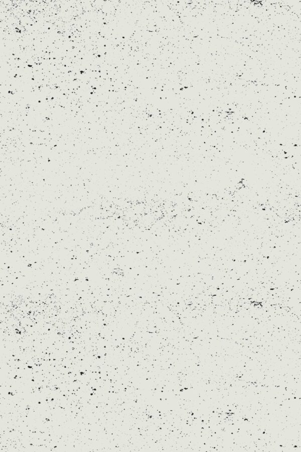Traditional Wallpaper with Gray Concrete Look design by Fancy Walls.