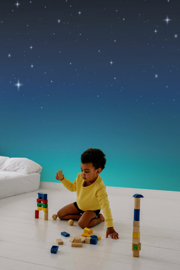 Majestic Starry Night Wall Mural, removable wall mural from Fancy Walls