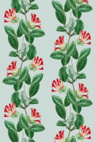 Traditional wallpaper in Enchanted Honeysuckle Elegance by Fancy Walls