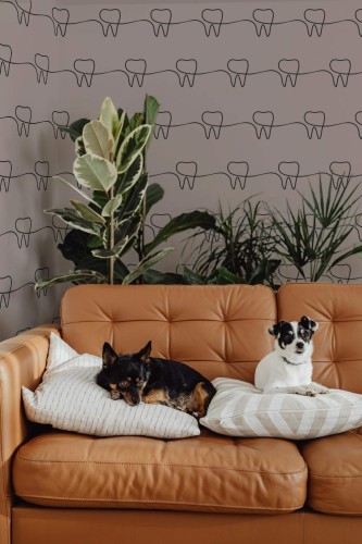 Dental Line Art wallpaper with simple black tooth outlines on a taupe background, styled in a cozy living area featuring a caramel leather sofa, two small dogs resting on pillows, and lush indoor plants. The minimalist pattern adds a playful yet sophisticated touch, perfect for modern dental offices or creative home décors.