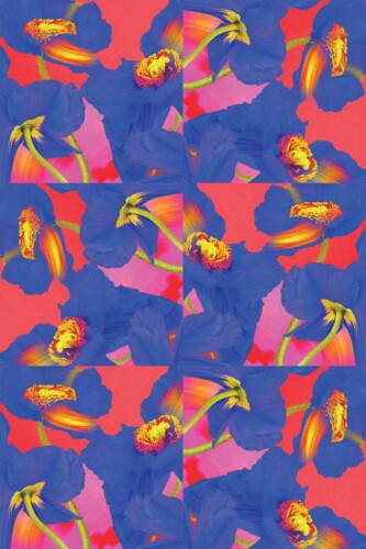 Colorful floral self-adhesive wallpaper by Fancy Walls for vibrant interiors
