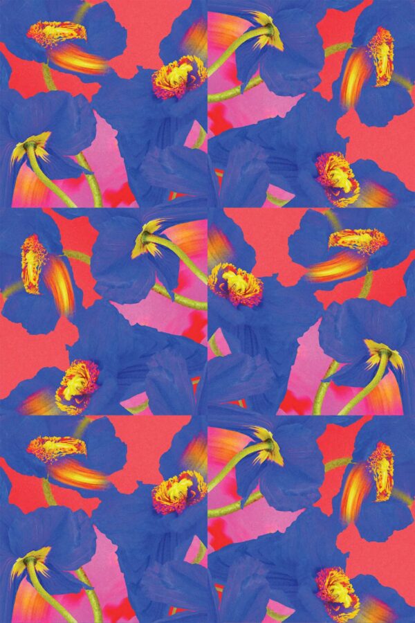 Colorful floral self-adhesive wallpaper by Fancy Walls for vibrant interiors