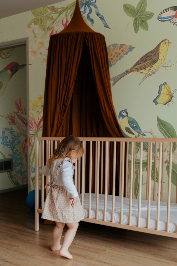 Fancy Walls' Vintage Aviary Wall Mural peel and stick