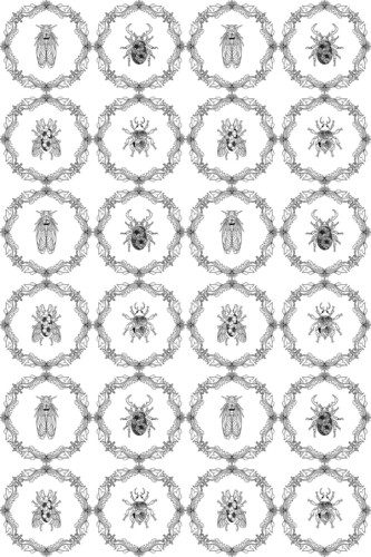 Fancy Walls traditional wallpaper with detailed beetles and cicadas in vintage black