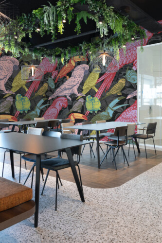 Wall paper mural with tropical bird species like cockatoos and toucans on a vintage jungle backdrop by Fancy Walls