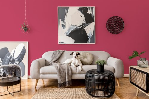 peel and stick wallpaper solid color viva magent