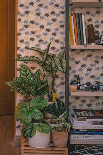 Southwestern style living room decorated with Waterlily peel and stick wallpaper