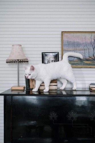 Industrial style music room decorated with White lines peel and stick wallpaper