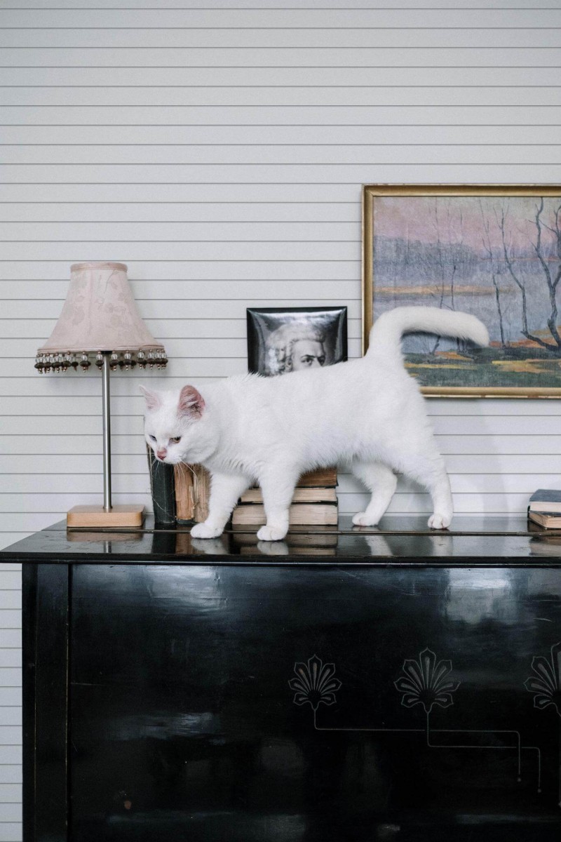 Industrial style music room decorated with White lines peel and stick wallpaper