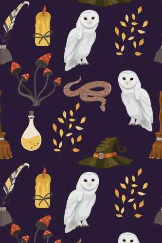 Pattern repeat of Wizard removable wallpaper design