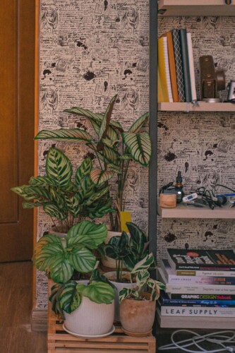Southwestern style living room decorated with Writer wall peel and stick wallpaper
