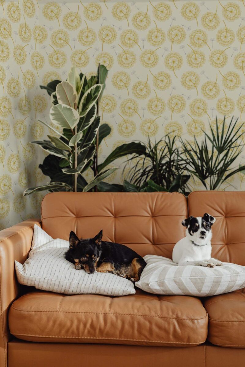 Mid-century modern style living room decorated with Yellow dandelion floral peel and stick wallpaper