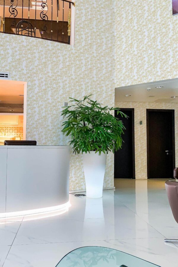 Modern style hallway in a hotel decorated with Yellow flower peel and stick wallpaper