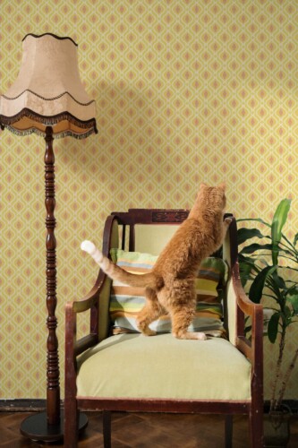 Fancy Walls self-adhesive wallpaper