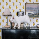Industrial style music room decorated with Yellow lemon peel and stick wallpaper