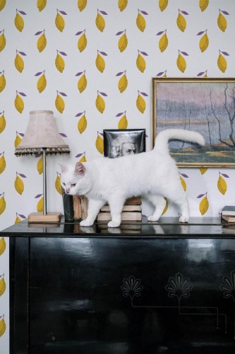 Industrial style music room decorated with Yellow lemon peel and stick wallpaper