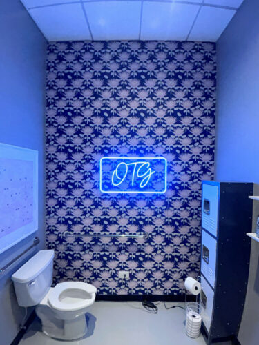Art Deco floral peel and stick wallpaper installed in kids bathroom - review picture submitted by Jurgis