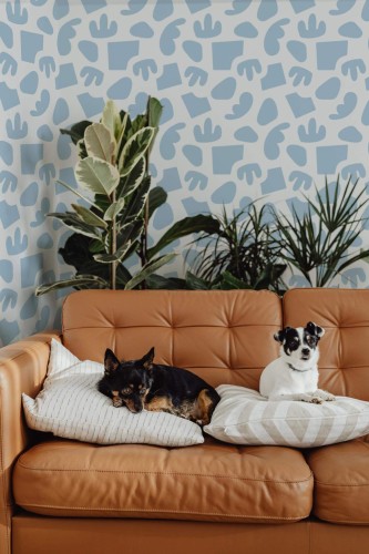 Mid-century modern style living room decorated with Abstract shapes peel and stick wallpaper