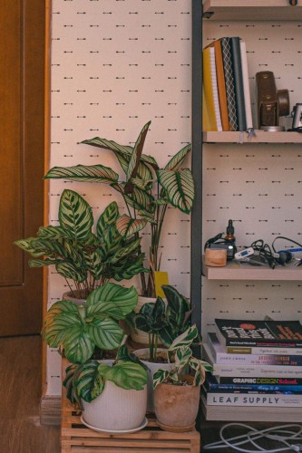 Southwestern style living room decorated with Arrow peel and stick wallpaper