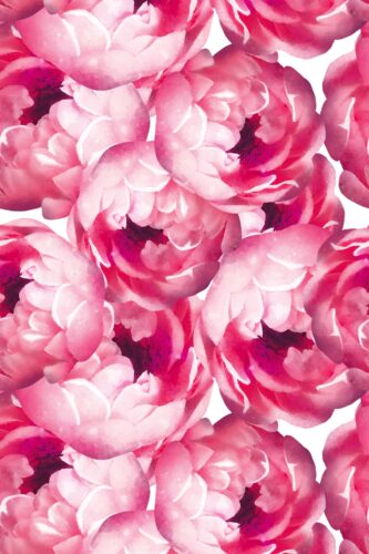Fancy Walls traditional wallpaper featuring lush pink peonies