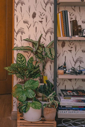 Southwestern style living room decorated with Brown and white botanical peel and stick wallpaper