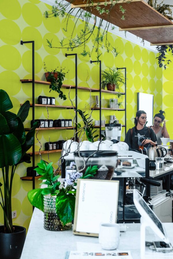 Fancy Walls self-adhesive wallpaper in chartreuse circle print