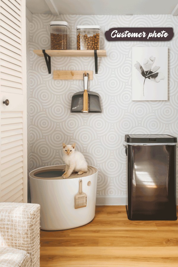 fancywalls retro circles sherwin williams seasalt color elegant wallpaper