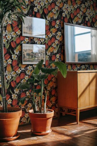 Vibrant removable wallpaper with tulips and daffodils by Fancy Walls. Bold Blossom peel and stick or non-pasted dark floral wallpaper