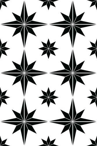 Non-pasted wallpaper with black and white star design by Fancy Walls
