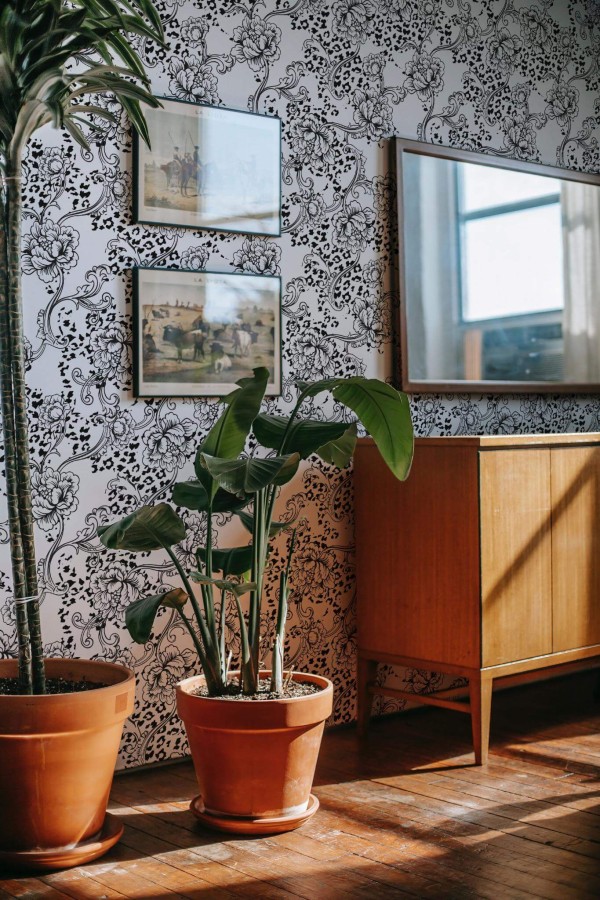Mid-century modern style dining room decorated with Floral Animal print peel and stick wallpaper