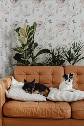 Mid-century modern style living room decorated with Floral letter peel and stick wallpaper