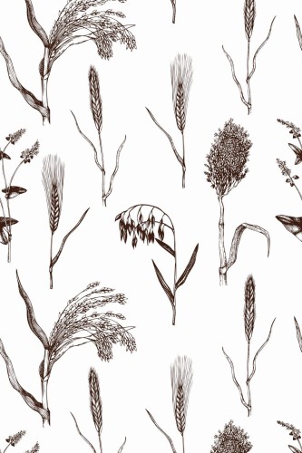 Pattern repeat of Grain removable wallpaper design
