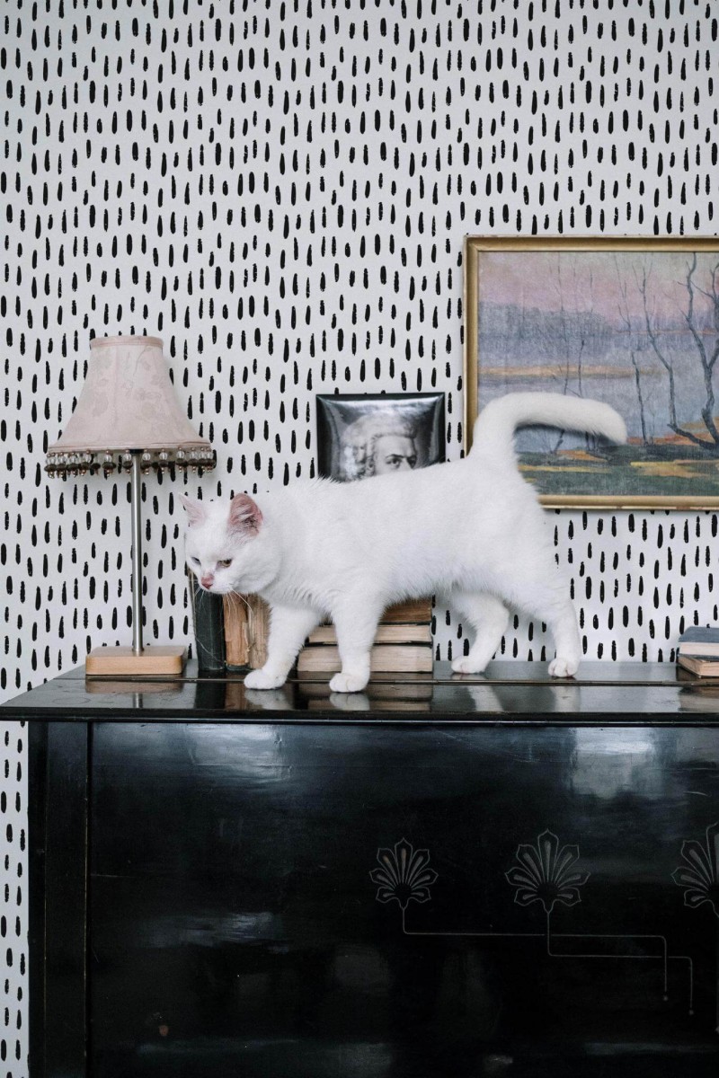 Industrial style music room decorated with Hand drawn spots peel and stick wallpaper