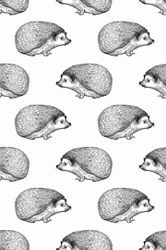 Pattern repeat of Hedgehog removable wallpaper design