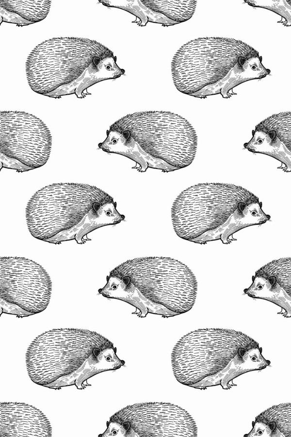 Pattern repeat of Hedgehog removable wallpaper design