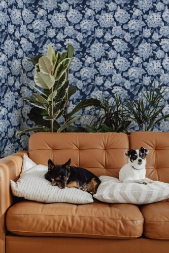 Blue hydrangea wallpaper with layered floral motifs, showcased in a cozy living room featuring a tan leather sofa, two relaxed dogs, and lush houseplants for a nature-inspired ambiance.