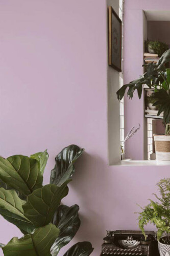 lavender color wallpaper collection